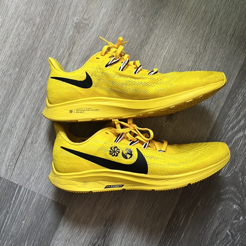 Limited edition Nike Zoom Pegasus sneakers